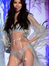 Sui He sexy 2014 Victoria's Secret Fashion Show in London 13x UHQ