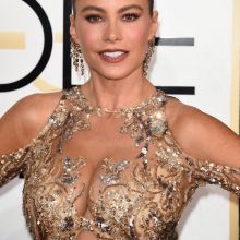 Sofia Vergara big boobs in see through dress on 74th Annual Golden Globe Awards 28x HQ photos